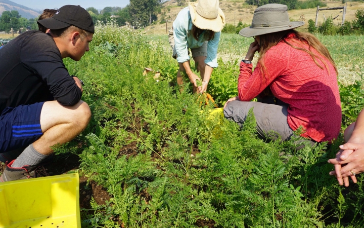 Four people work in a garden during a service project with outward bound